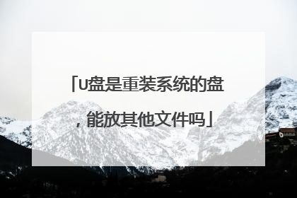 U盘是重装系统的盘，能放其他文件吗