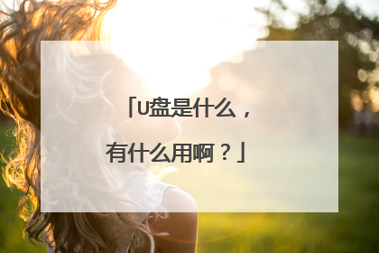 U盘是什么,有什么用啊?
