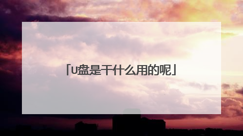 U盘是干什么用的呢
