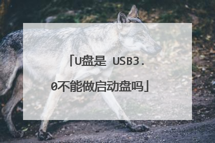 U盘是 USB3.0不能做启动盘吗