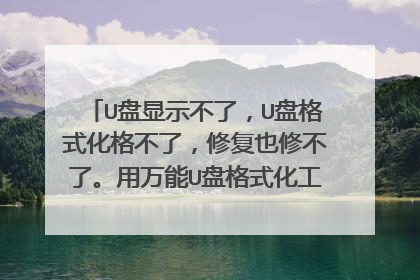 U盘显示不了,U盘格式化格不了,修复也修不了。用万能U盘格式化工具(FormatTool)也格不了。