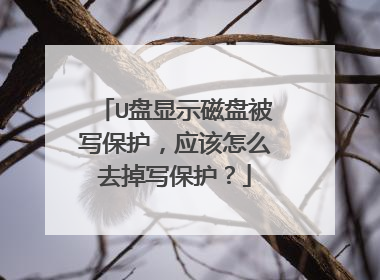 U盘显示磁盘被写保护,应该怎么去掉写保护?