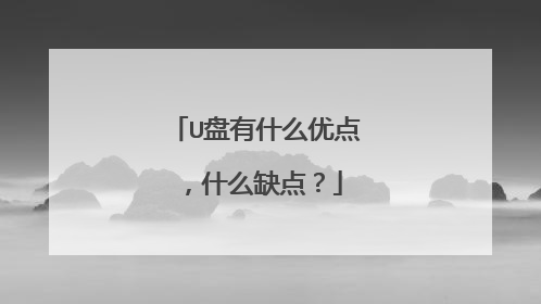 U盘有什么优点,什么缺点?