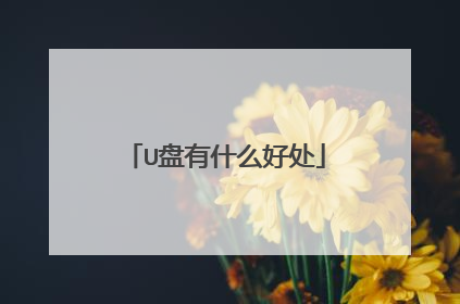 U盘有什么好处