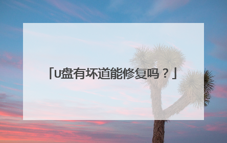 U盘有坏道能修复吗?