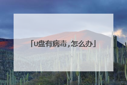 U盘有病毒,怎么办