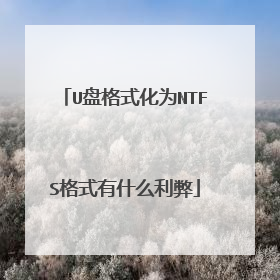U盘格式化为NTFS格式有什么利弊
