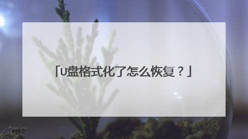 U盘格式化了怎么恢复?