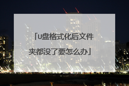U盘格式化后文件夹都没了要怎么办