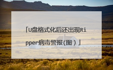 U盘格式化后还出现Ripper病毒警报(图)