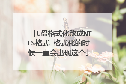 U盘格式化改成NTFS格式 格式化的时候一直会出现这个