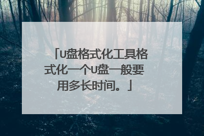 U盘格式化工具格式化一个U盘一般要用多长时间。
