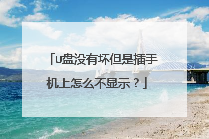 U盘没有坏但是插手机上怎么不显示?
