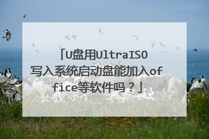U盘用UltraISO写入系统启动盘能加入office等软件吗?