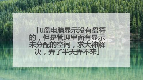 U盘电脑显示没有盘符的,但是管理里面有显示未分配的空间,求大神解决,弄了半天弄不来