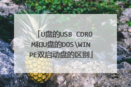 U盘的USB CDROM和U盘的DOSWINPE双启动盘的区别