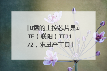 U盘的主控芯片是iTE(联阳)IT1172,求量产工具