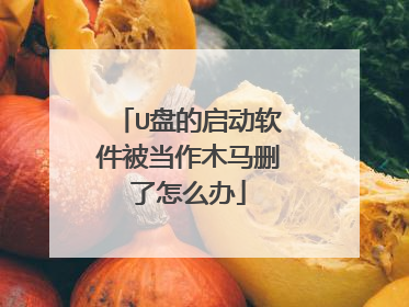 U盘的启动软件被当作木马删了怎么办