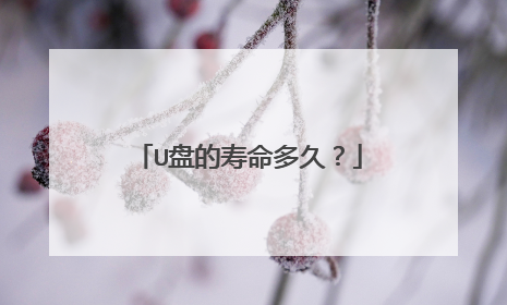U盘的寿命多久?
