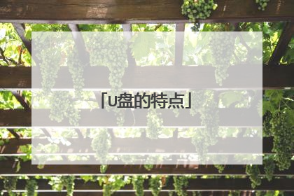 U盘的特点