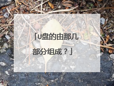 U盘的由那几部分组成?
