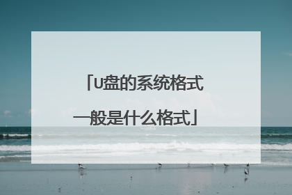 U盘的系统格式一般是什么格式