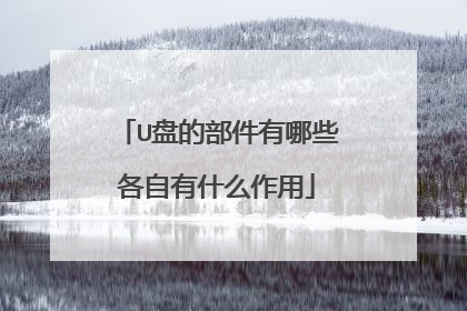 U盘的部件有哪些各自有什么作用