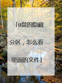 U盘的隐藏分区,怎么看里面的文件