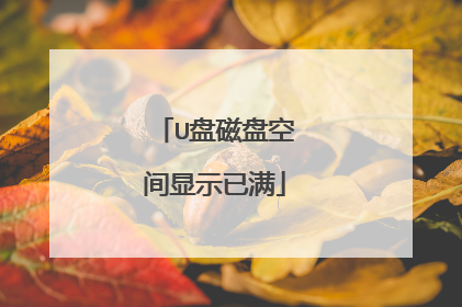U盘磁盘空间显示已满