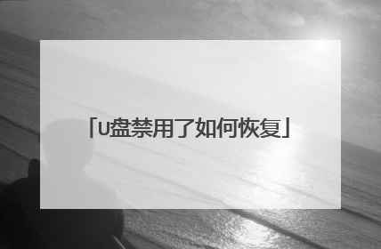 U盘禁用了如何恢复