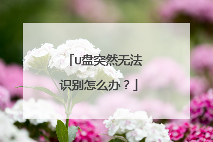 U盘突然无法识别怎么办?