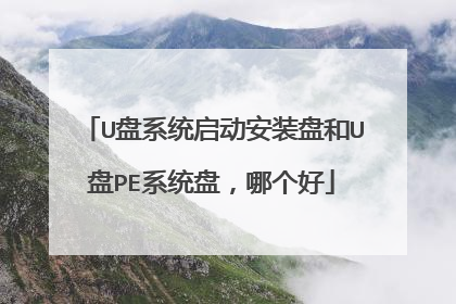 U盘系统启动安装盘和U盘PE系统盘,哪个好