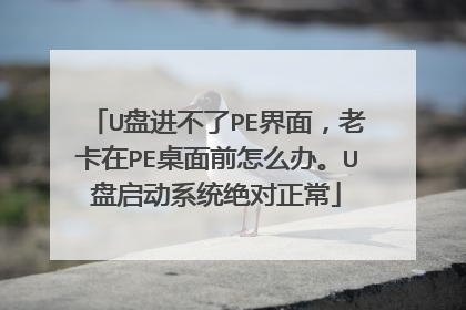 U盘进不了PE界面，老卡在PE桌面前怎么办。U盘启动系统绝对正常