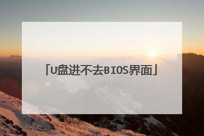 U盘进不去BIOS界面