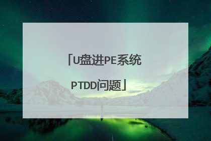 U盘进PE系统PTDD问题