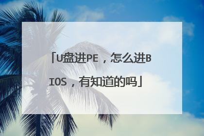 U盘进PE,怎么进BIOS,有知道的吗