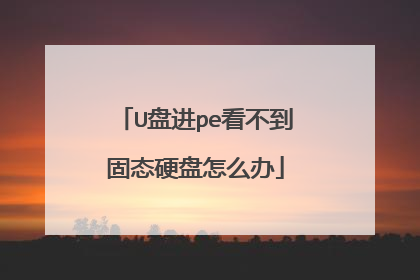 U盘进pe看不到固态硬盘怎么办
