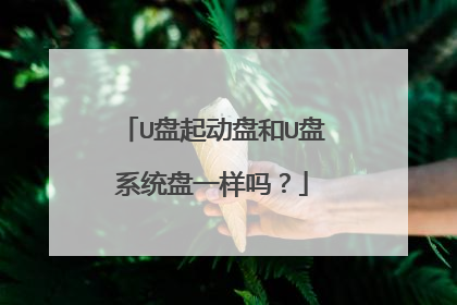 U盘起动盘和U盘系统盘一样吗?