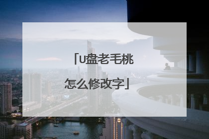 U盘老毛桃怎么修改字