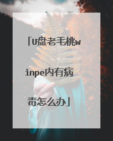 U盘老毛桃winpe内有病毒怎么办