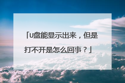 U盘能显示出来,但是打不开是怎么回事?