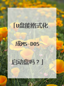 U盘能格式化成MS-DOS启动盘吗？