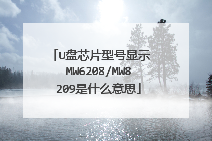 U盘芯片型号显示 MW6208/MW8209是什么意思