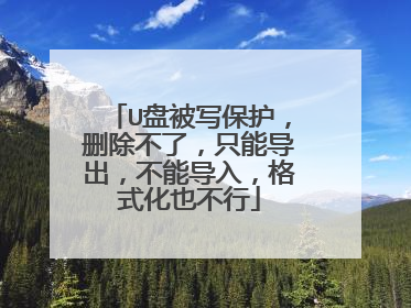 U盘被写保护,删除不了,只能导出,不能导入,格式化也不行