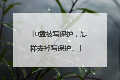 U盘被写保护，怎样去掉写保护。