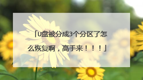 U盘被分成3个分区了怎么恢复啊,高手来!!!