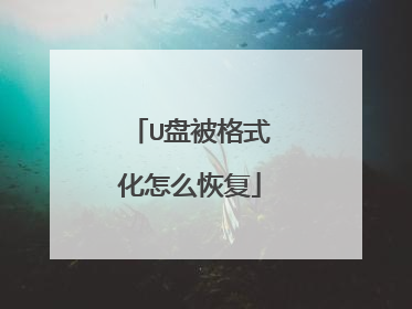 U盘被格式化怎么恢复
