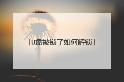 U盘被锁了如何解锁