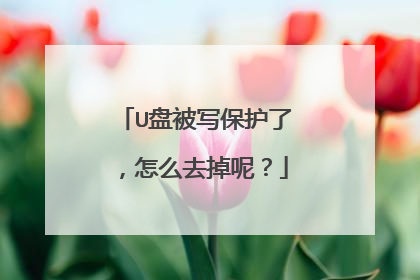 U盘被写保护了,怎么去掉呢?