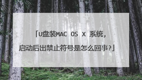 U盘装MAC OS X 系统,启动后出禁止符号是怎么回事?